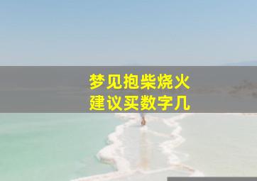 梦见抱柴烧火建议买数字几