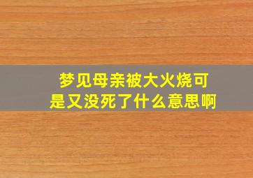 梦见母亲被大火烧可是又没死了什么意思啊