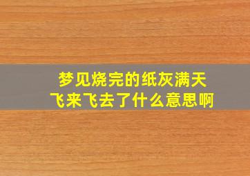 梦见烧完的纸灰满天飞来飞去了什么意思啊