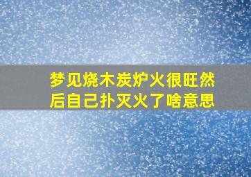 梦见烧木炭炉火很旺然后自己扑灭火了啥意思