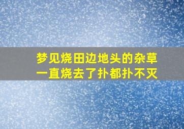 梦见烧田边地头的杂草一直烧去了扑都扑不灭