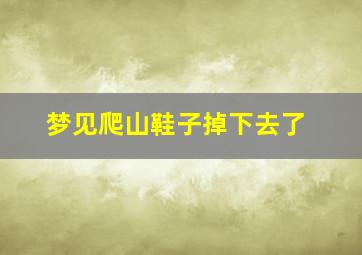 梦见爬山鞋子掉下去了