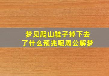 梦见爬山鞋子掉下去了什么预兆呢周公解梦