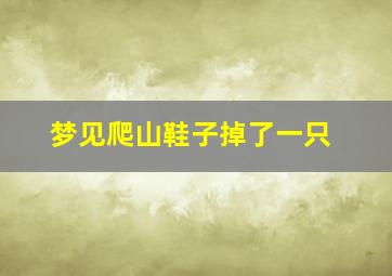 梦见爬山鞋子掉了一只