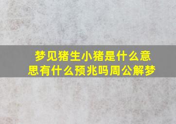 梦见猪生小猪是什么意思有什么预兆吗周公解梦