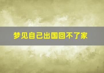 梦见自己出国回不了家