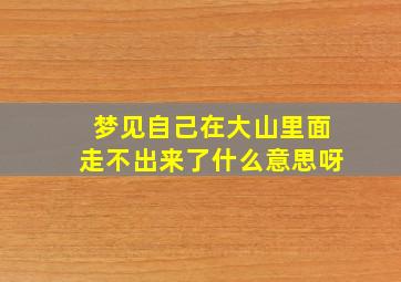 梦见自己在大山里面走不出来了什么意思呀