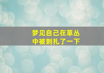 梦见自己在草丛中被刺扎了一下