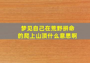 梦见自己在荒野拼命的爬上山顶什么意思啊