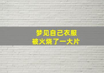 梦见自己衣服被火烧了一大片