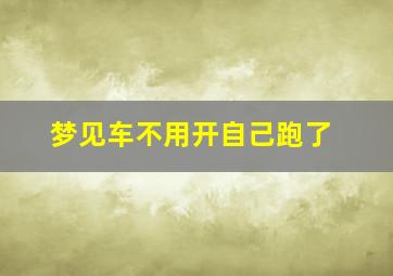 梦见车不用开自己跑了