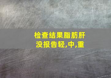 检查结果脂肪肝没报告轻,中,重