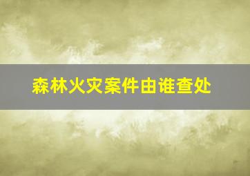 森林火灾案件由谁查处