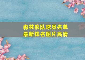 森林狼队球员名单最新排名图片高清