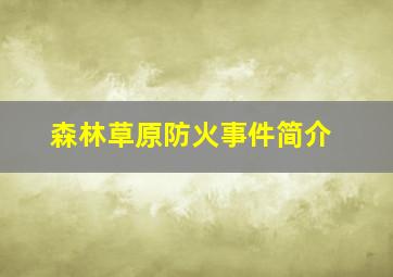 森林草原防火事件简介