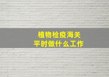 植物检疫海关平时做什么工作