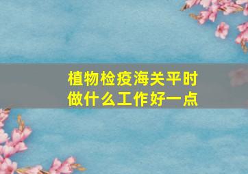 植物检疫海关平时做什么工作好一点