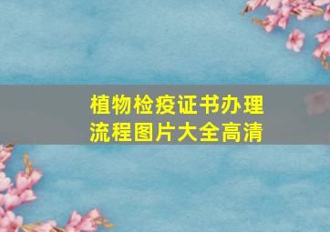 植物检疫证书办理流程图片大全高清