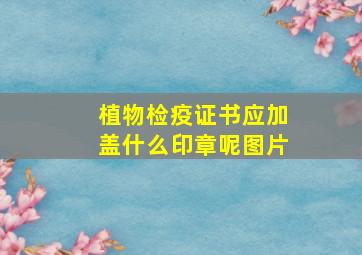 植物检疫证书应加盖什么印章呢图片