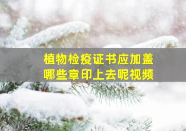 植物检疫证书应加盖哪些章印上去呢视频