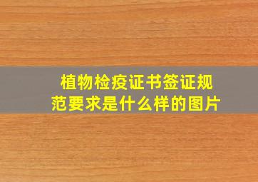 植物检疫证书签证规范要求是什么样的图片