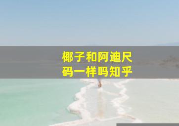 椰子和阿迪尺码一样吗知乎