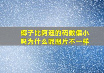 椰子比阿迪的码数偏小吗为什么呢图片不一样