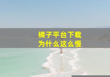 橘子平台下载为什么这么慢