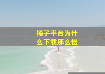 橘子平台为什么下载那么慢