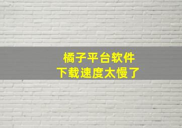 橘子平台软件下载速度太慢了