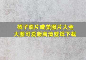 橘子照片唯美图片大全大图可爱版高清壁纸下载