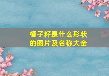 橘子籽是什么形状的图片及名称大全