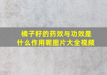 橘子籽的药效与功效是什么作用呢图片大全视频