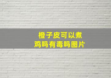 橙子皮可以煮鸡吗有毒吗图片