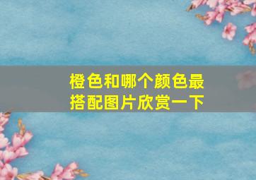 橙色和哪个颜色最搭配图片欣赏一下