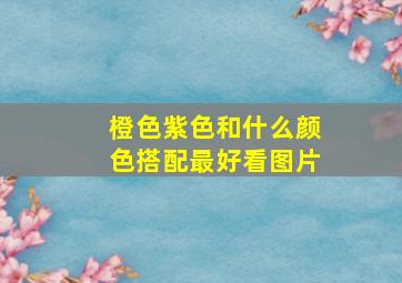 橙色紫色和什么颜色搭配最好看图片