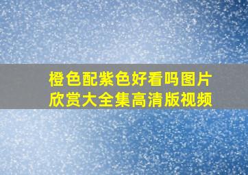 橙色配紫色好看吗图片欣赏大全集高清版视频