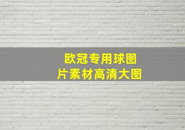 欧冠专用球图片素材高清大图