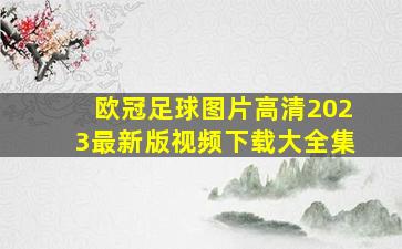 欧冠足球图片高清2023最新版视频下载大全集