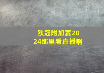 欧冠附加赛2024那里看直播啊