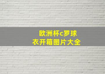 欧洲杯c罗球衣开箱图片大全