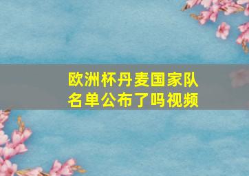 欧洲杯丹麦国家队名单公布了吗视频