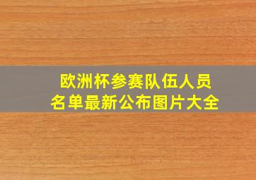 欧洲杯参赛队伍人员名单最新公布图片大全