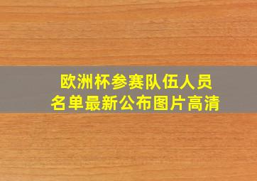 欧洲杯参赛队伍人员名单最新公布图片高清