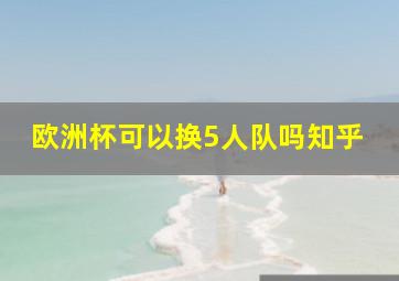 欧洲杯可以换5人队吗知乎