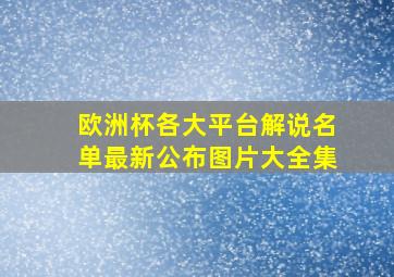 欧洲杯各大平台解说名单最新公布图片大全集