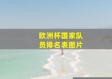 欧洲杯国家队员排名表图片