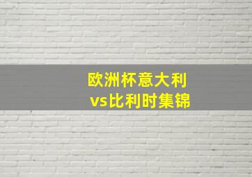 欧洲杯意大利vs比利时集锦