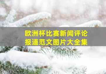 欧洲杯比赛新闻评论报道范文图片大全集