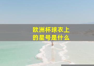 欧洲杯球衣上的星号是什么